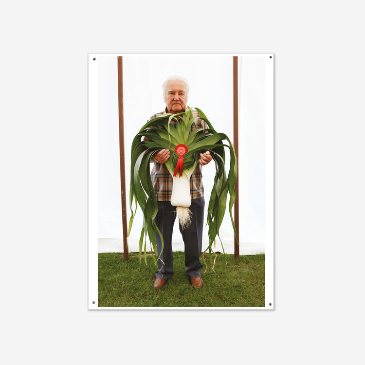 Poster + Hanging Kit